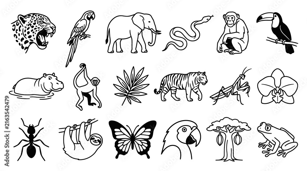 Naklejka premium Black White Line Art Icons Set of Jungle Rainforest Wildlife: Tropical Animals and Flora Illustrations