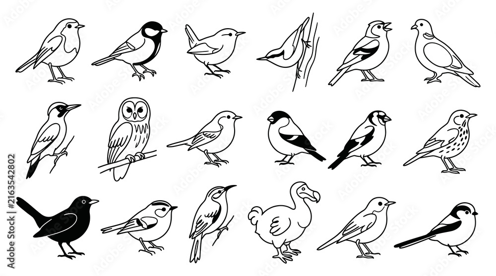 Fototapeta premium Black and White Line Art Collection of Various Bird Species