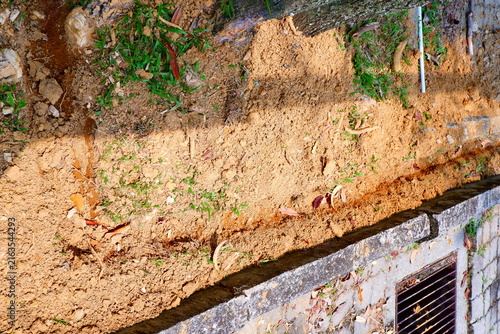 Photography a horizontal high-angle shot capturing a narrow trench excavated in red soil near a tree trunk for underground cable installation work