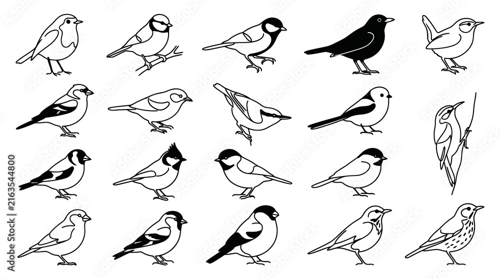 Fototapeta premium Black and White Line Art Illustrations of Various Birds on White Background