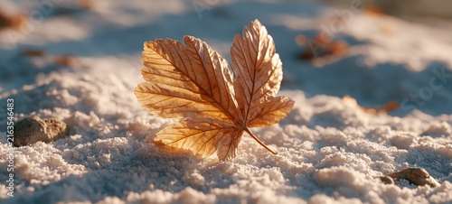 Dry Fallen Leaf on Fresh Snow Casting the Shadow of a Flourishing Summer Tree, Surreal Fine Art Concept