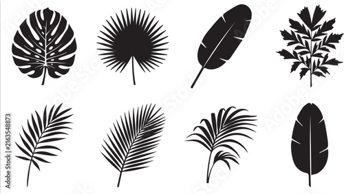 Photography Set of eight black tropical leaf silhouettes, including monstera, fan palm, bana