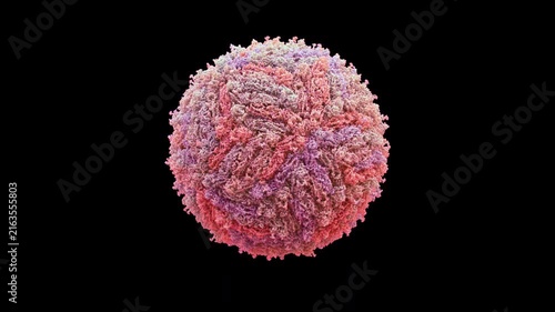 3d structure of cryo-EM zika virus capsid and envelope, icosahedral +ssrna flavivirus, pathogenic and self-replicating, primarily for microcephaly and neurotropic infection, seamless loop animation.