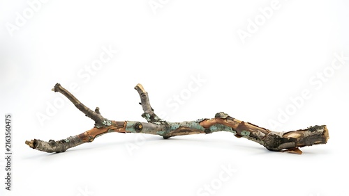 A single, weathered tree branch with textured bark and lichen, isolated on a plain white background