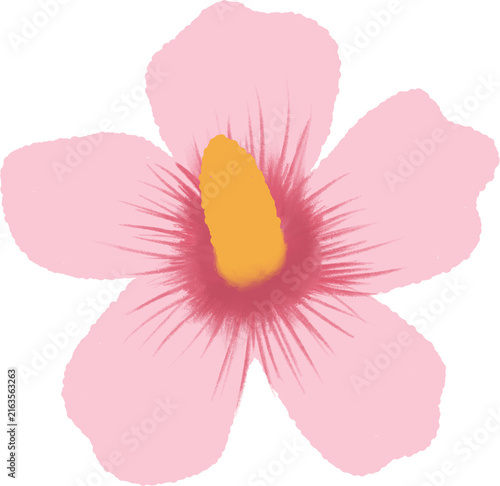 Hand drawn Korean Rose of Sharon hibiscus flower with green leaves illustration