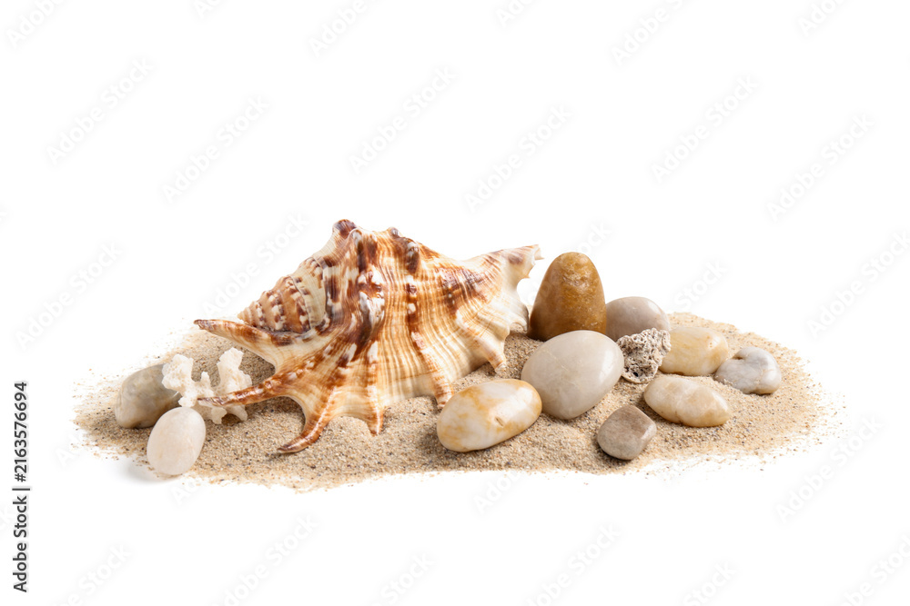 Obraz premium Tropical beach vacation and summer travel concept, seashell with sand and pebbles isolated on a white background