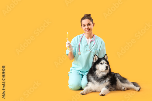Pet healthcare and animal wellness, female veterinarian with stethoscope and ...