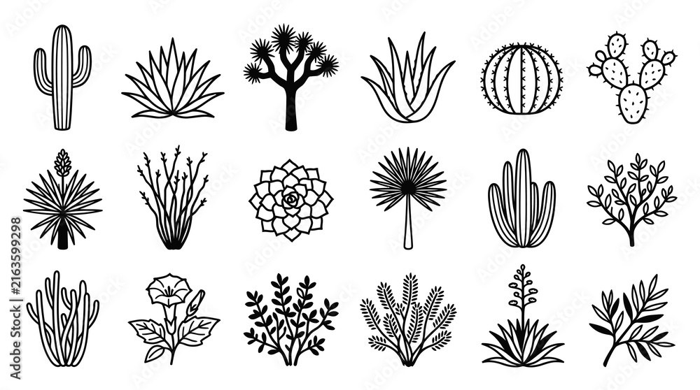 Fototapeta premium Black and White Line Art Desert Plants and Cacti Vector Icons Set - Botanical Outline Flora Collection