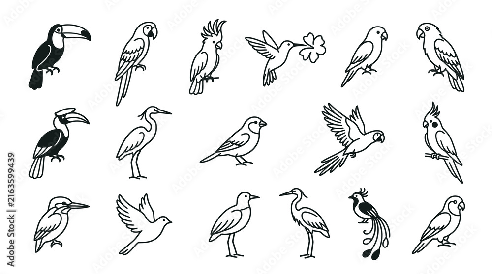 Naklejka premium Black and White Line Art Vector Collection of Various Birds
