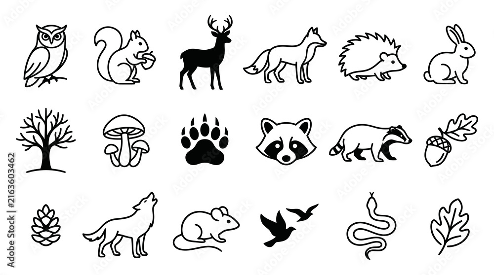 Obraz premium Black and White Line Art Woodland Animals Forest Nature Icons Set. Wildlife Outline Symbols.