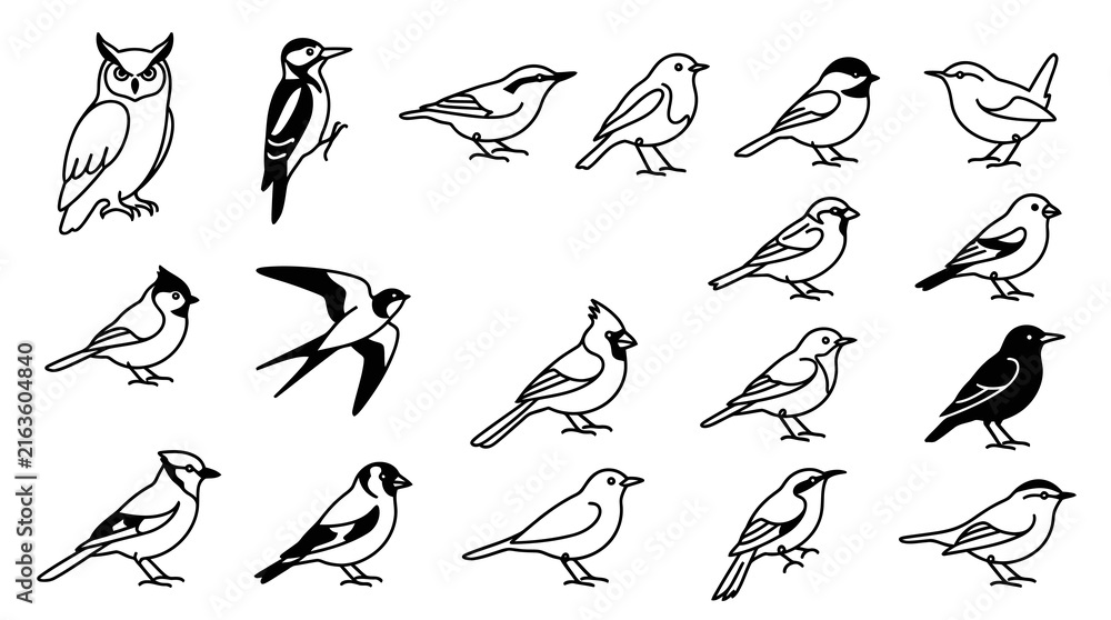 Naklejka premium Black and White Line Art Collection of Various Birds for Design