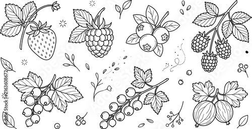 Foto Fresh forest berries collection with strawberry raspberry blueberry blackberry c