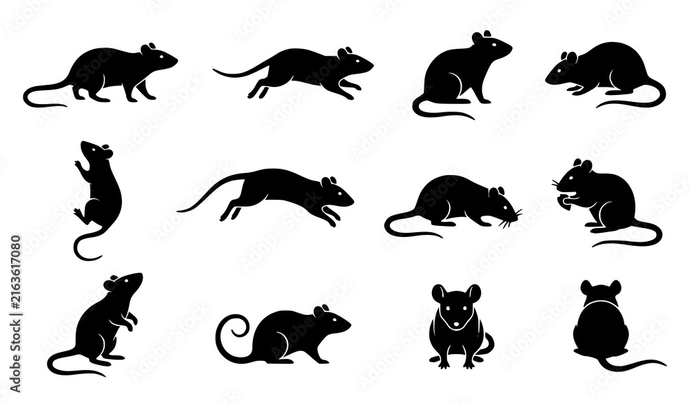 Obraz premium Rat Silhouette Vector Illustration Set Black Mouse Collection with Twelve Different Poses Running Climbing and Sitting Positions