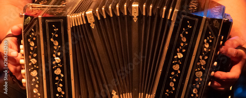Foto Bandoneon player during tango performance