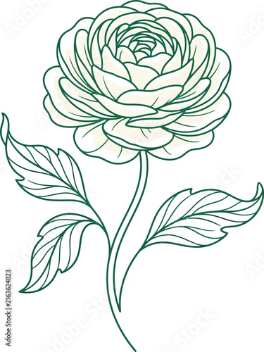 Elegant hand drawn line art illustration of a blooming rose flower with leaves isolated on white background
