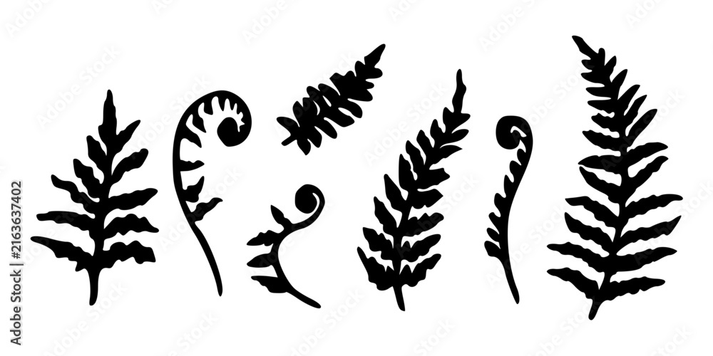 Obraz premium Hand-drawn fern leaves illustration set in black and white minimalist botanical style
