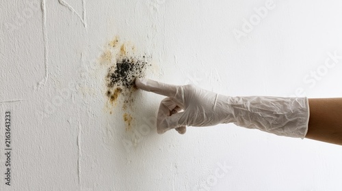 gloved hand points to black and yellow mold spot on white textured wall