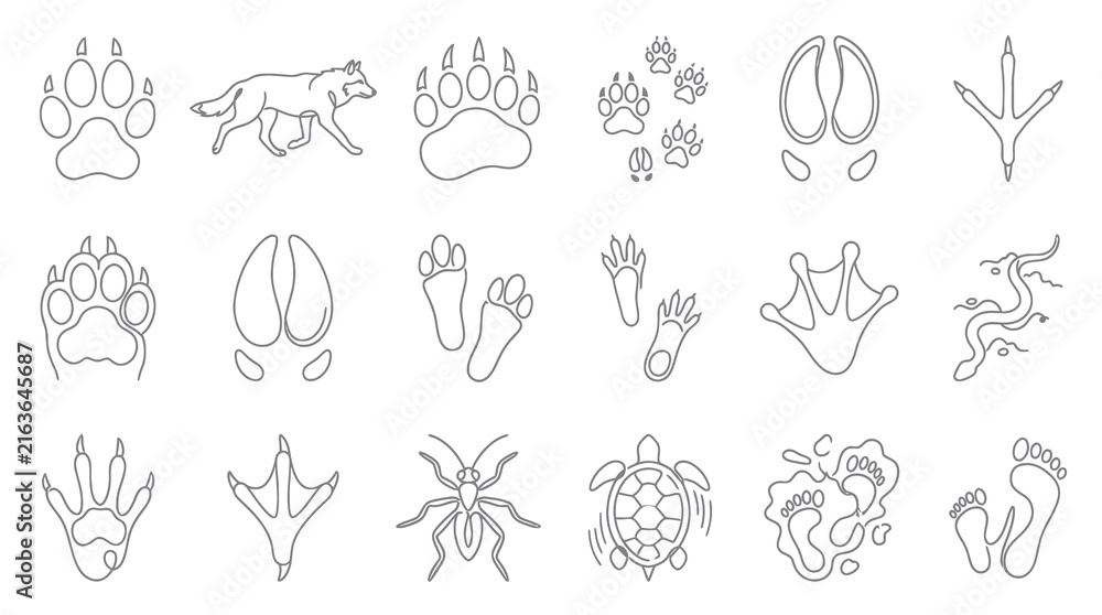 Obraz premium Nature Wildlife Animal Tracks and Footprints Outline Icons Set. Black and White Line Art Paw Prints Collection.