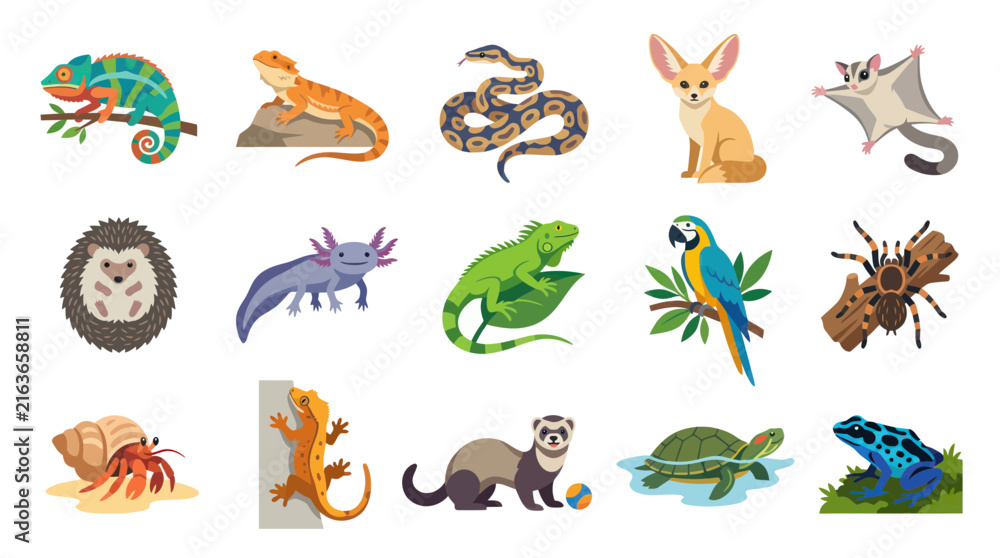 Obraz premium Flat Vector Animals Collection: Reptiles, Mammals, Amphibians, Insects, Birds