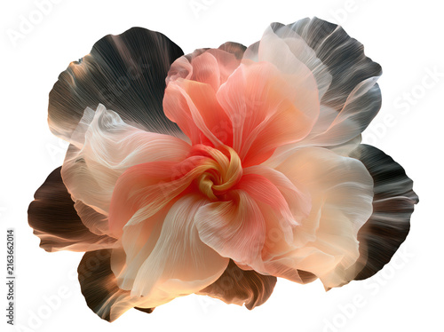 Artificial fabric flower accessory with peach and black layered petals isolated on white