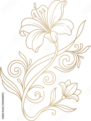 Elegant hand drawn lily flower illustration with decorative floral swirls and leaves in a delicate line art style