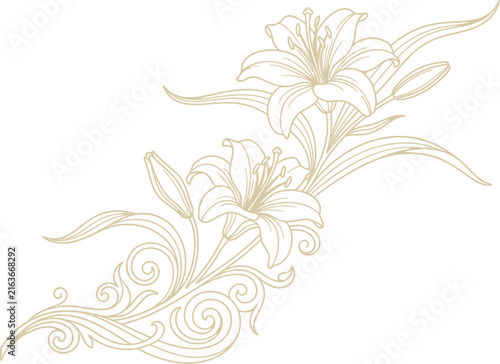 Elegant hand drawn lily flower illustration with decorative swirls and botanical elements on a white background