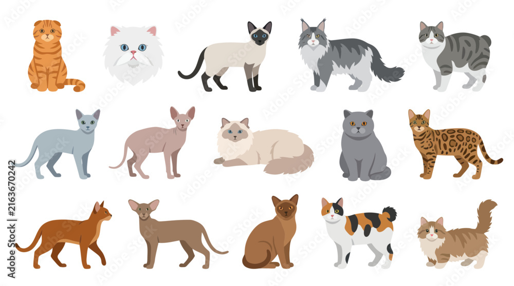 Obraz premium Diverse Cat Breeds Collection Flat Design Vector Illustration