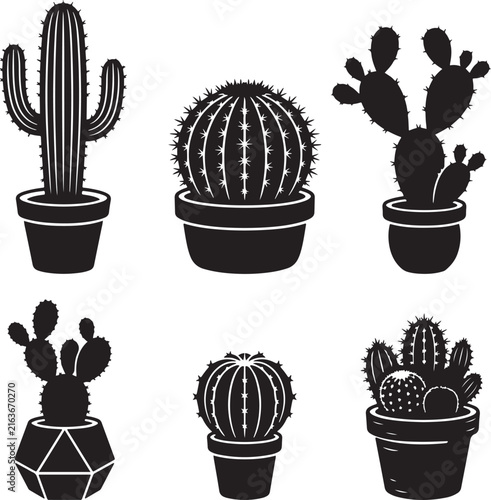 cactus in a pot