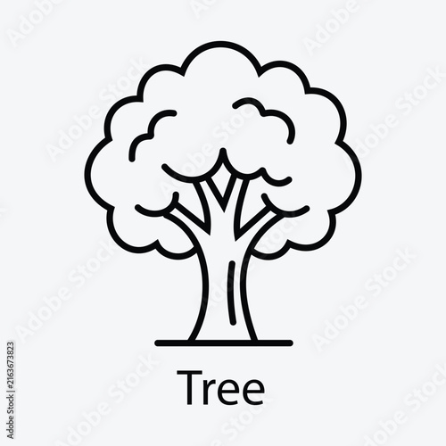 Line art tree illustration depicts a simplified botanical form on a white background