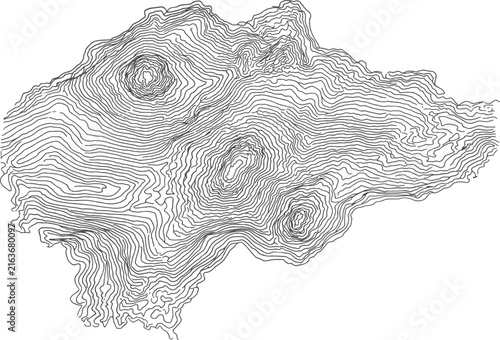 Topographic Contour Map Illustration on White Background