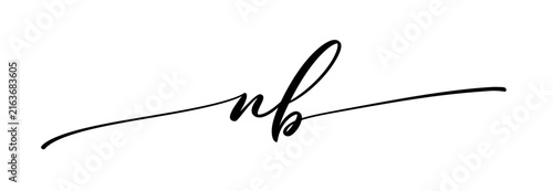Letter NB calligraphy monogram. Handwritten script initials isolated.