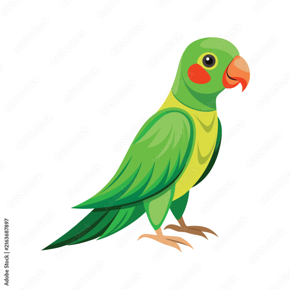Fototapeta premium Parrot bird character vector illustration isolated on white background