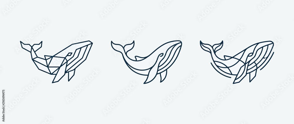 Fototapeta premium Three minimalist line art illustrations of whales in a horizontal row on a plain background