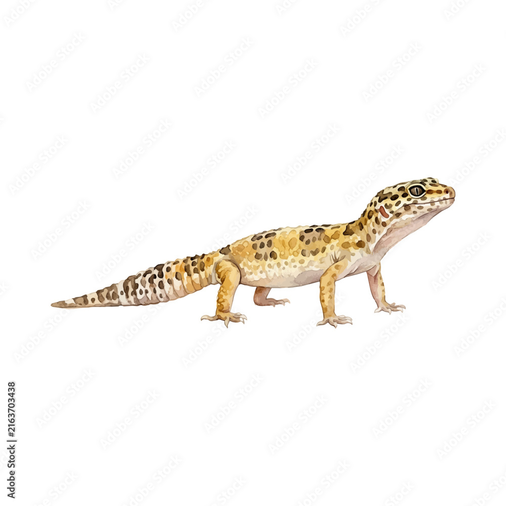 Fototapeta premium Watercolor illustration of a leopard gecko standing on all four legs