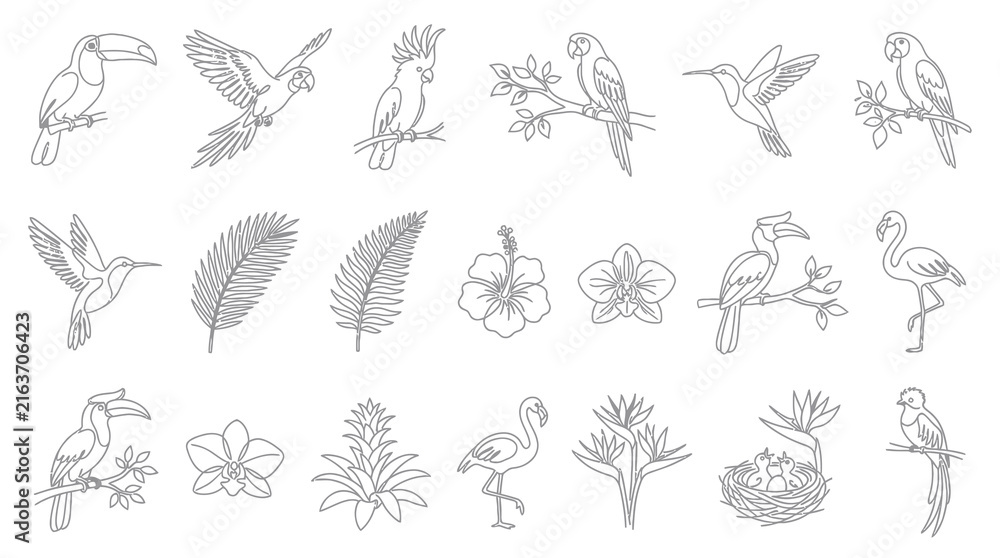 Fototapeta premium Exotic Tropical Birds and Plants Line Art Collection. Hand-Drawn Outline Icons of Jungle Wildlife and Flora.