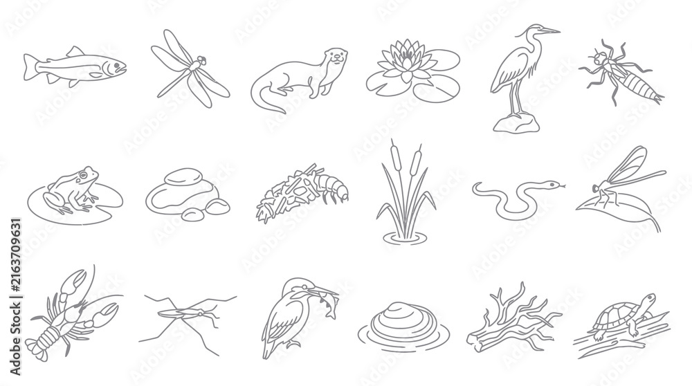Fototapeta premium Nature Wildlife Freshwater Habitat Black White Line Art Icons Set of Aquatic Animals, Plants Ecosystem Elements