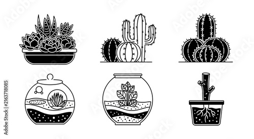 Succulent arrangements in pots and glass terrariums line drawing set.