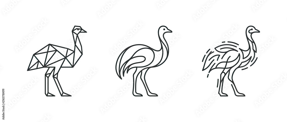 Naklejka premium Three minimalist line art birds in different geometric and organic styles on white background