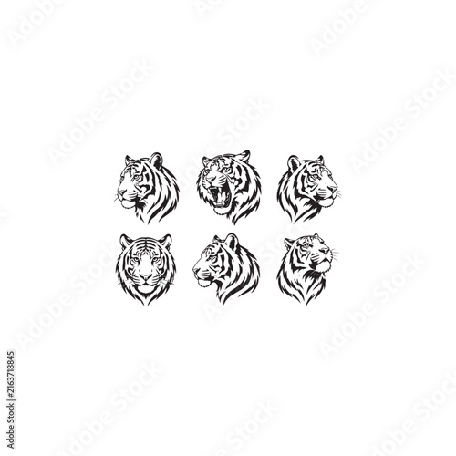 Wild Tiger Mascot Set