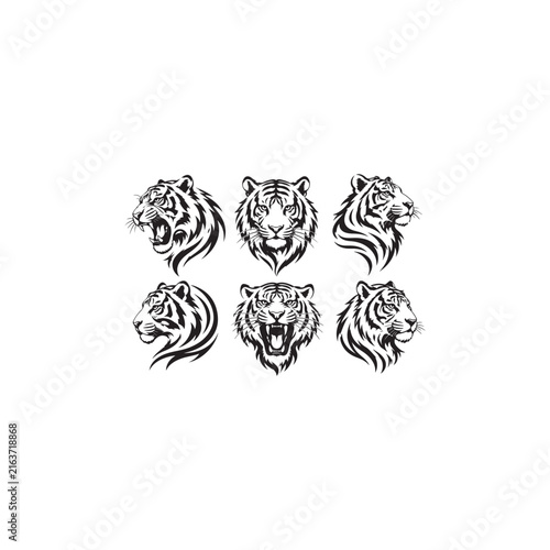 Tiger Head Line Art Collection