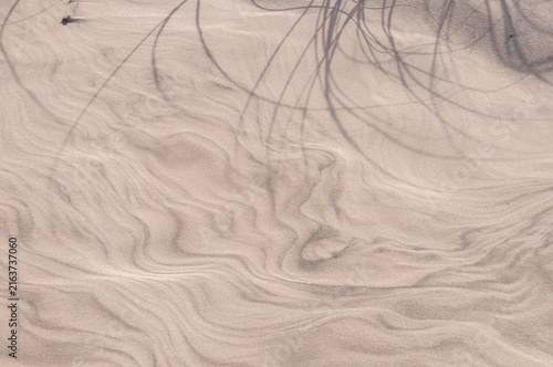 dry grass on the sand in the wild, closeup of photo