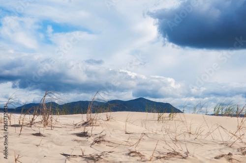 sand dunes on the beach with mountains in the background