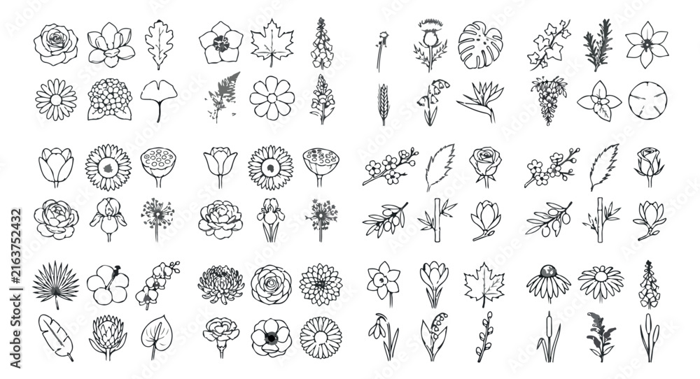 Fototapeta premium Minimalist botanical line art icons, set of 72 floral vector illustrations, black and white flower sketches for wedding branding and logo design
