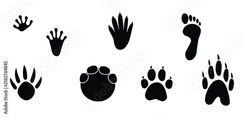 Footprint vector set: bare human foot and animal paw prints (dog, cat, bear, wolf, bird). Simple flat black silhouettes on transparent background. Nature, wildlife, and tracking icons collection.