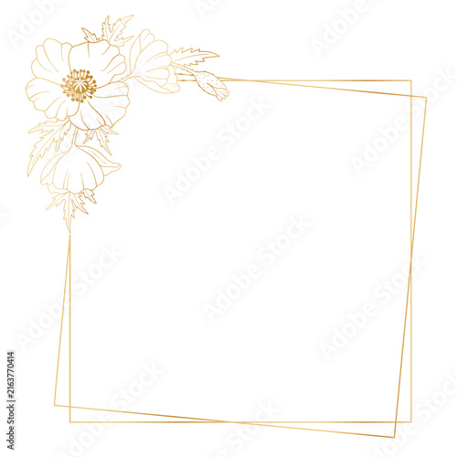 Golden square frame with poppies. Vector illustration in a botanical style on a white background. Hand-drawn vector illustration for your design.