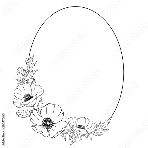 Black oval frame with poppies. Vector illustration in a botanical style on a white background. Hand-drawn vector illustration for your design.