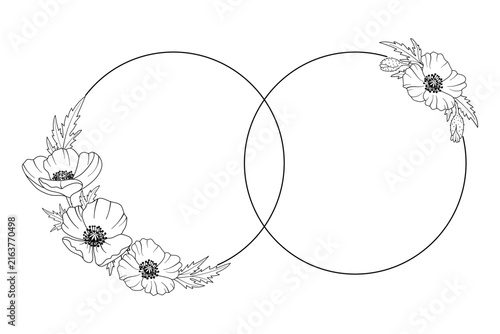Black frame with poppies shaped like wedding rings. Vector illustration in a botanical style on a white background. Hand-drawn vector illustration for your design.