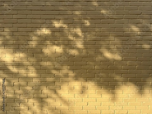 Tree shadow on yellow brick wall with soft golden sunlight. Warm mustard yellow brick wall background with tree silhouettes.