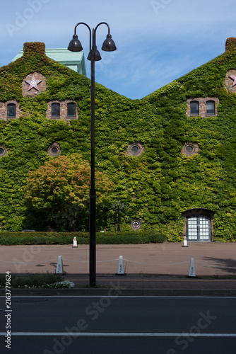 蔦に覆われた煉瓦の建物