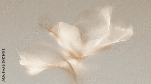 Abstract Floral Background, Sheer Beige Flower with Translucent Petals on Neutral Background for Beauty and Wellness Branding